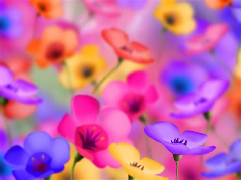 Focus Photography Of Colored Flowers Hd Wallpaper Wallpaper Flare