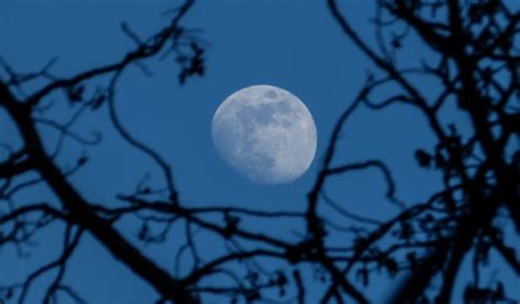 ¡magia Para Halloween Conoce Qué Es La Luna Azul Y Cómo Puedes