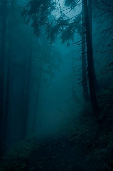 Pin By Fernando Gadelha On Dark Forest Mystical Forest Landscape