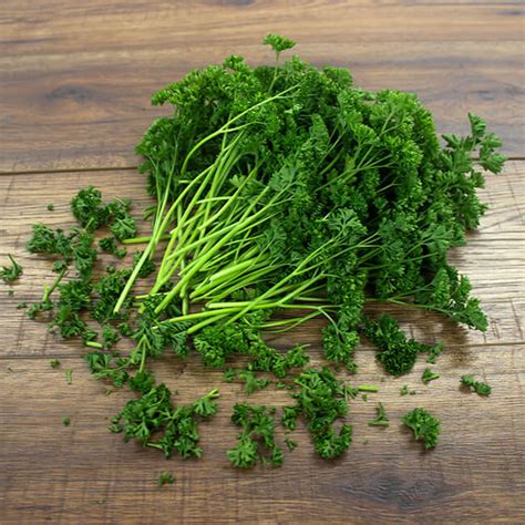 Parsley Curly - Kerry's Fresh