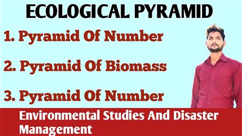 Ecological Pyramids An Overview Environmental Studies And Disaster