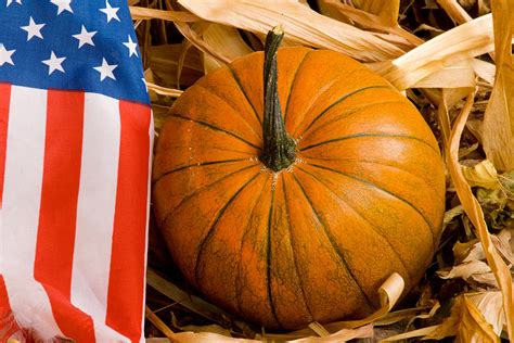 Patriotic American Pumpkin Photograph By James Bo Insogna Fine Art