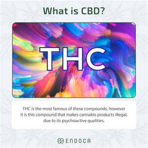 The Difference Between Cbd Vs Thc All You Need To Know Endoca© Cbd