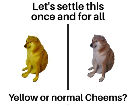 Which Is Better Cheems Know Your Meme