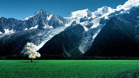 Nature Landscape Trees Switzerland Alps Swiss Alps Field