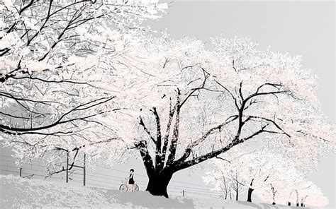 Hd Wallpaper Cherry Blossom Japan Bright White Trees Wallpaper Flare