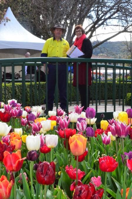 Tulip Time Festival Blog Southern Highland News Bowral Nsw