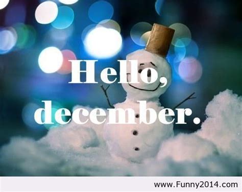 Hello December Funny Image