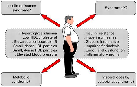Targeting Abdominal Obesity And The Metabolic Syndrome To Manage