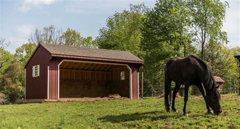 Equine Run In Sheds Prices And Options Custom Shed Builder