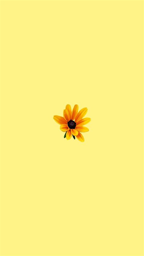 Các mẫu đẹp nhất cho Cute yellow aesthetic background Với các hình ảnh
