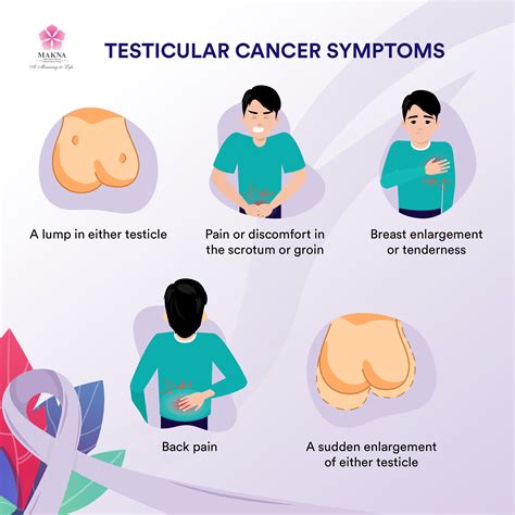 National Cancer Society Of Malaysia Penang Branch Testicular Cancer Symptoms