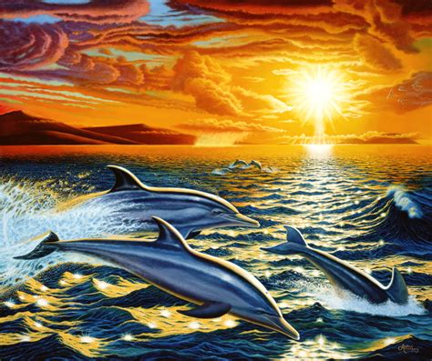 39 Colorful Dolphin Wallpaper Wallpapersafari