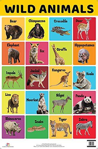 Buy Charts Wild Animals Charts Educational Charts For Kids Wall