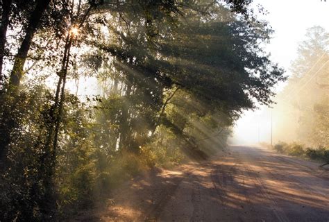 morning-fog-sun-rays-1-free-stock-photo-public-domain-pictures