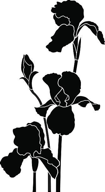 420 Iris Flower Silhouette Stock Illustrations Royalty Free Vector