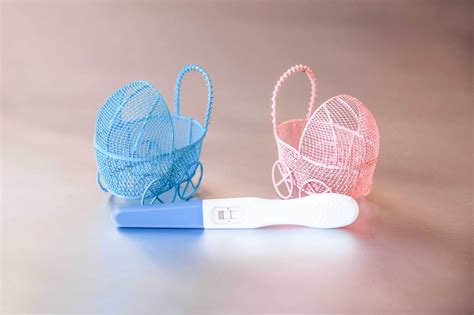 Sexagem Fetal Conheça O Exame Que Revela O Sexo Do Bebê Na 8ª Semana