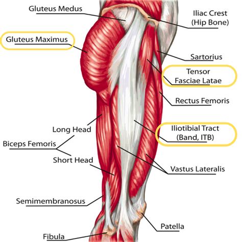 Iliotibial Band Syndrome ITBS Physiotherapy Treatment Exercise