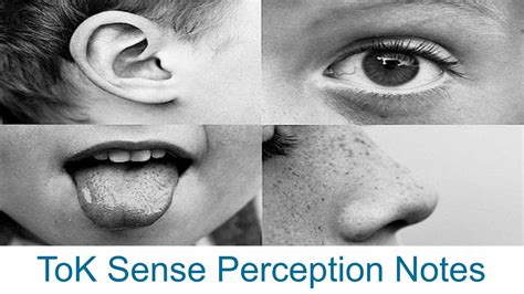 Sense Perception Notes - ToK
