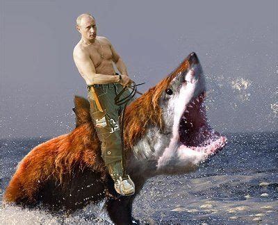 The images of russian president vladimir putin riding a bear while shirtless have already become iconic, flooding social media, with many wondering if they are real. Does Vladimir Putin really wrestle with Bears? - Quora