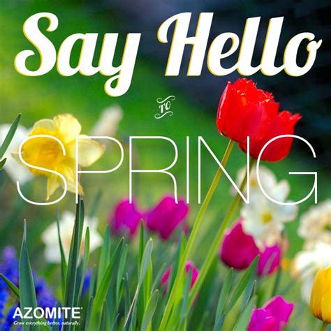 Finally Spring Is Here Spring Is Here Spring Say Hello