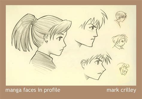 トップ Face Profile Drawing Reference サンゴメガ