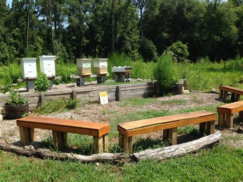 Outdoor Classrooms The Bee Cause Project