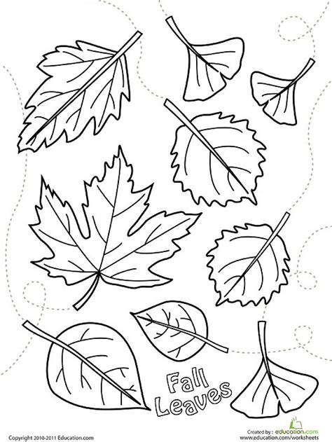Different types of leaves with names, pictures, and information. Printable Fall Coloring Pages | Parents
