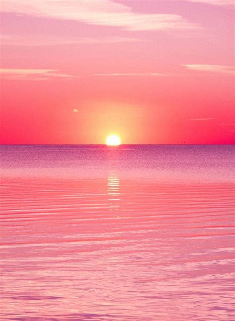 Pink Sunset Wallpaper