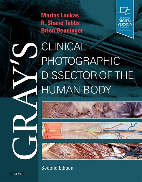 Grays Clinical Photographic Dissector Of The Human Body 2nd Edition
