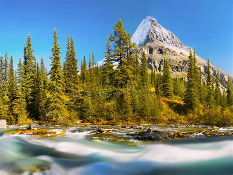 Scenic Rocky Mountains Canada Mt Robson Stock Photo Image Of Blue