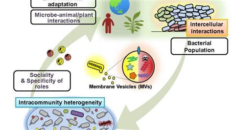 Microbial Ecology And Role Of Microorganism In Ecosystem Online