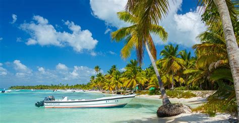 Which one of these statements about git is true? Rediscovering the True Caribbean - AIIA - Australian ...
