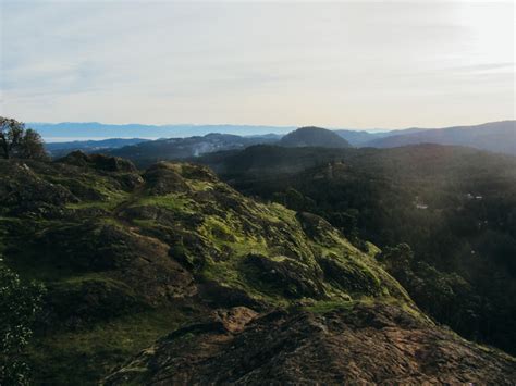 Lone Tree Hill Hike Victoria Trails