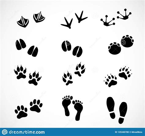 Footprint set vector stock illustration. Illustration of collection ...