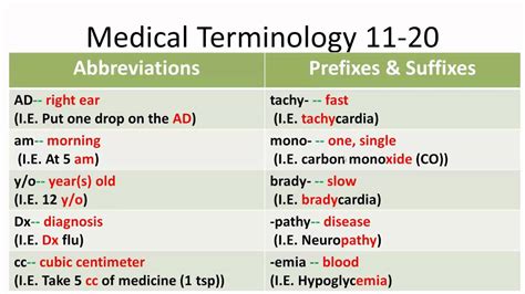 Medical Terminology 11 20 Youtube