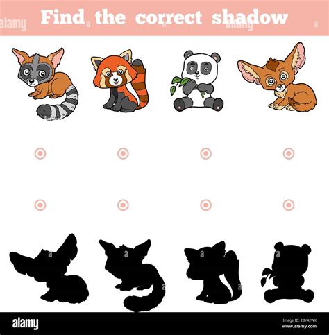 Find The Correct Shadow Education Game For Children Vector Set Of