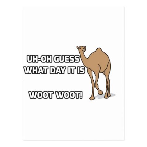 Uh Oh Guess What Day It Is Hump Day Postcard Zazzle