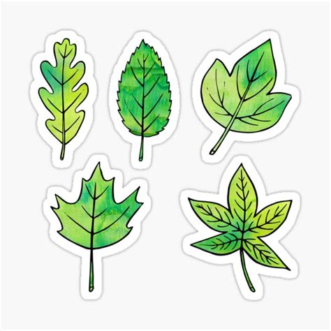 Green Leaves Sticker For Sale By Olooriel Redbubble