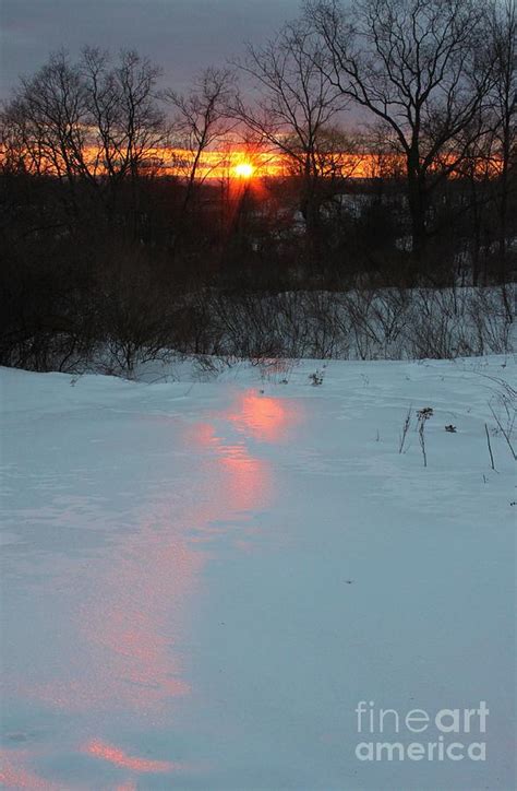 Winter Morning Sunrise Photograph By Tom Cruickshanks