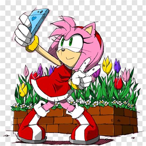 Amy Rose Sonic Adventure The Hedgehog 2 And Sega All Stars Racing