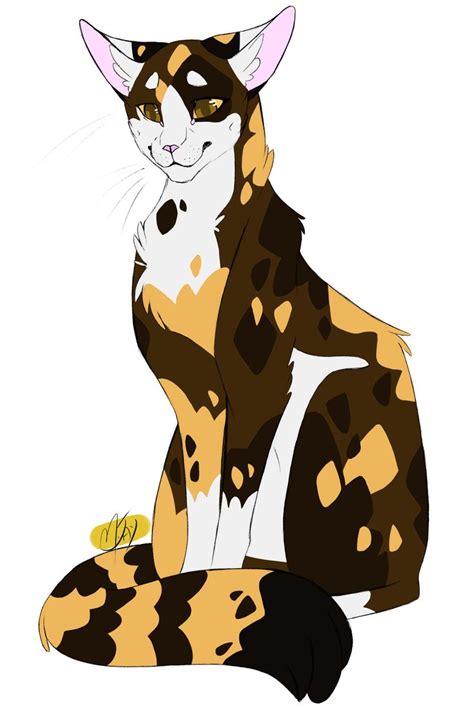 100 Warrior Cats Challenge 09 Spottedleaf Shes Always Been One Of