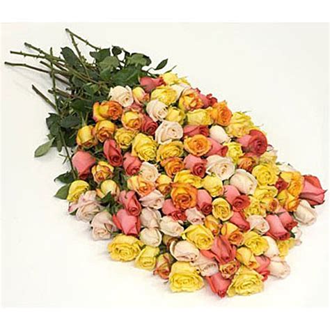 100 Long Stem Assorted Roses Usa T 100 Long Stem Assorted Roses Fnp