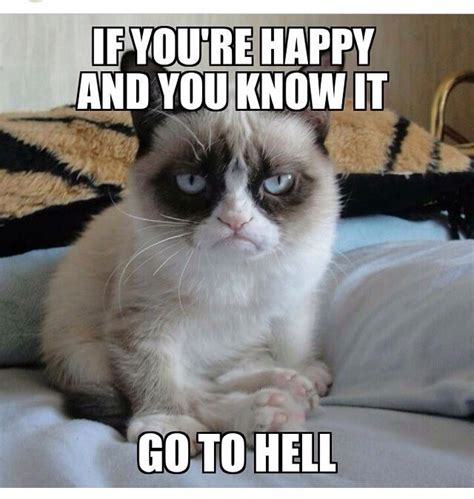 pin by kathy b on grumpy cat funny friday memes funny cat memes grumpy cat
