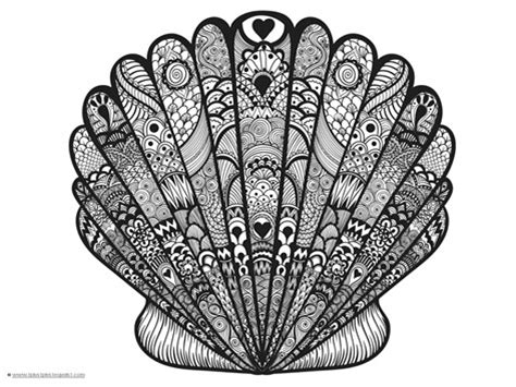 716 transparent png illustrations and cipart matching shells. Seashell Coloring Pages - 1+1+1=1