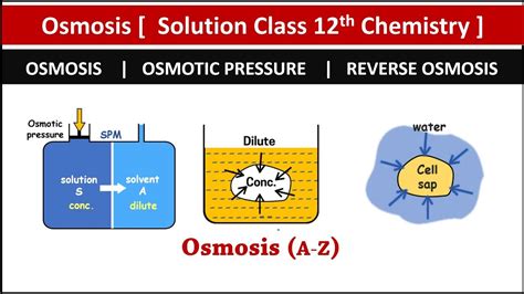 Question, you need to know the definitions of osmosis and diffusion and really understand what they mean. OSMOSIS Complete Solution class 12th chemistry | JEE ...
