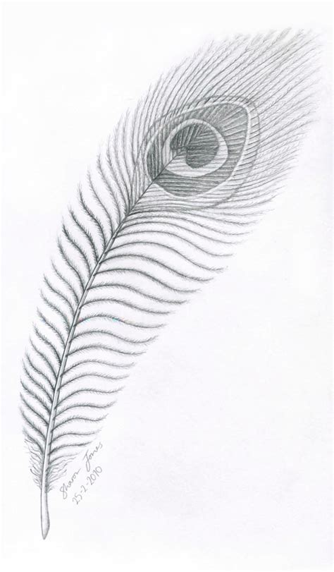 Feather Pencil Sketch At Explore Collection Of