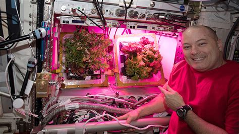Students Help Decide What Plants To Grow On The Space Station