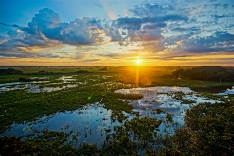 10 Of The Best Wetlands In The World