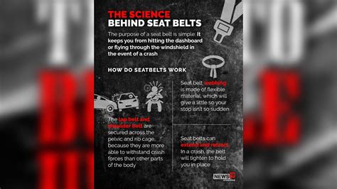 reasons why wearing a seatbelt is important